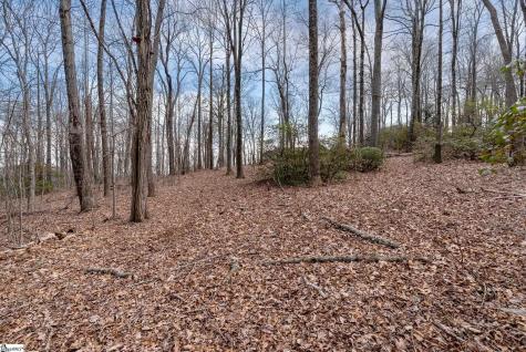 66 The Cliffs Parkway Landrum SC 29356