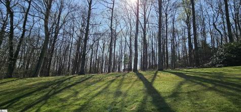 66 The Cliffs Parkway Landrum SC 29356