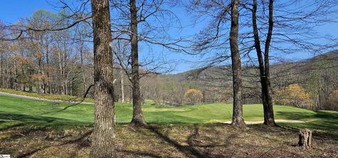 66 The Cliffs Parkway Landrum SC 29356