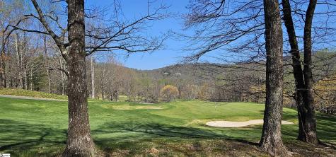 66 The Cliffs Parkway Landrum SC 29356