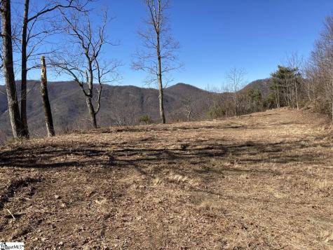 1506 Panther Park Trail Travelers Rest SC 29690