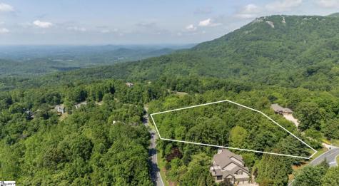 33 Raptor Way Landrum SC 29635