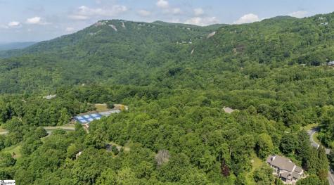 33 Raptor Way Landrum SC 29635