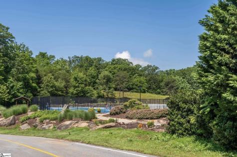 33 Raptor Way Landrum SC 29635