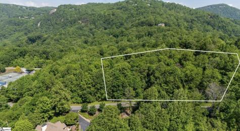 33 Raptor Way Landrum SC 29635