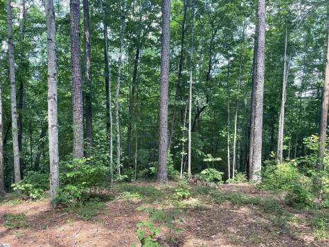00 Nimmons Bridge Road Salem SC 29676