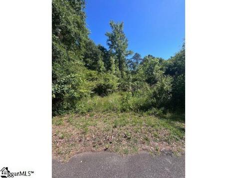 0 Sitton Mill Road Seneca SC 29678