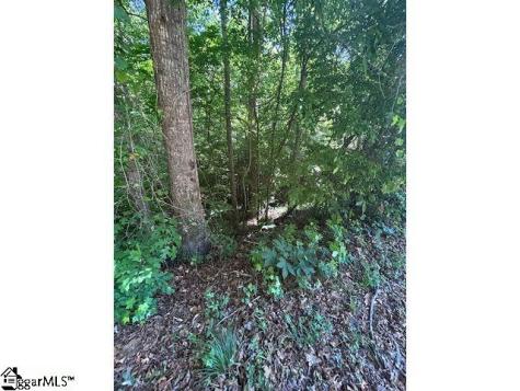 0 Sitton Mill Road Seneca SC 29678