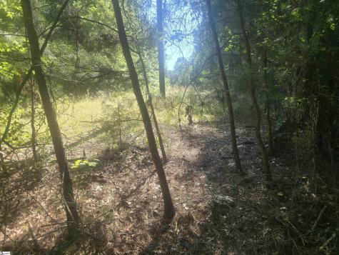12.3 Acres 243 Highway Townville SC 29689