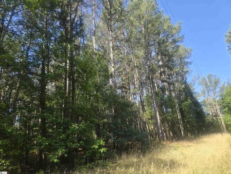12.3 Acres 243 Highway Townville SC 29689