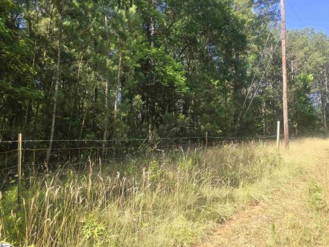 12.3 Acres 243 Highway Townville SC 29689