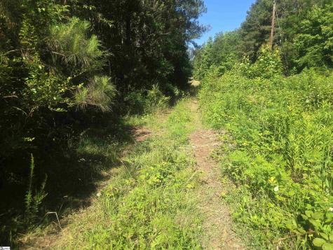 12.3 Acres 243 Highway Townville SC 29689