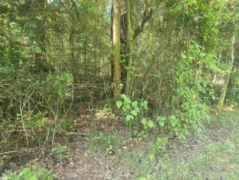 12.3 Acres 243 Highway Townville SC 29689