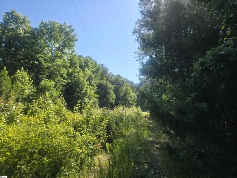 12.3 Acres 243 Highway Townville SC 29689