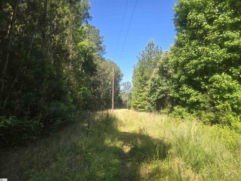12.3 Acres 243 Highway Townville SC 29689