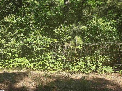 12.3 Acres 243 Highway Townville SC 29689