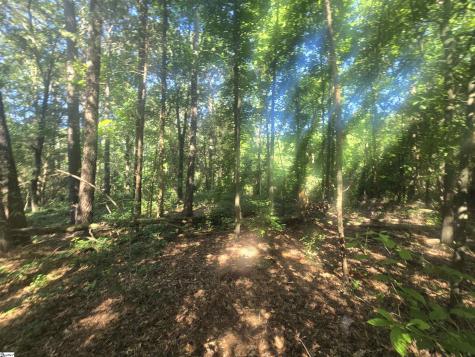 12.3 Acres 243 Highway Townville SC 29689