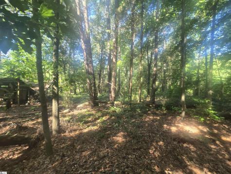 12.3 Acres 243 Highway Townville SC 29689