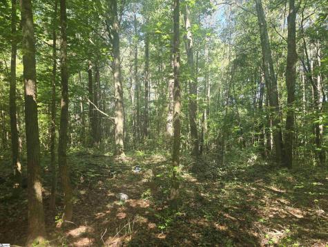 12.3 Acres 243 Highway Townville SC 29689