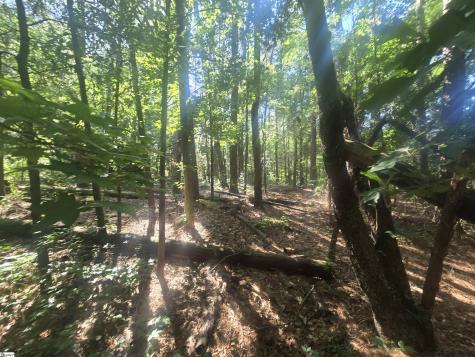 12.3 Acres 243 Highway Townville SC 29689