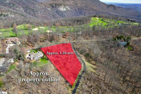 68 May Apple Way Landrum SC 29356