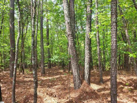 0 Courtney Road Cowpens SC 29330