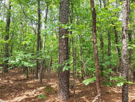 0 Courtney Road Cowpens SC 29330