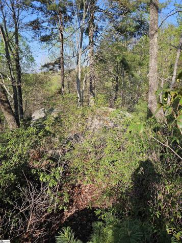 139 Whispering Falls Drive Pickens SC 29671