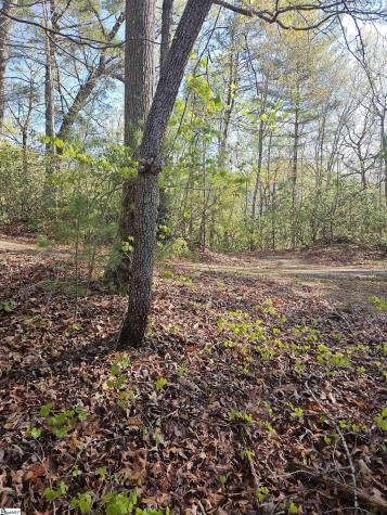 139 Whispering Falls Drive Pickens SC 29671