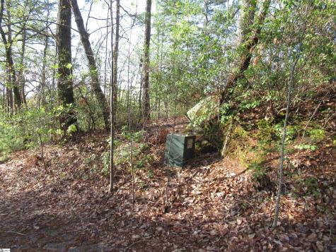 139 Whispering Falls Drive Pickens SC 29671