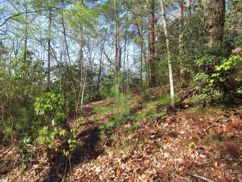 139 Whispering Falls Drive Pickens SC 29671