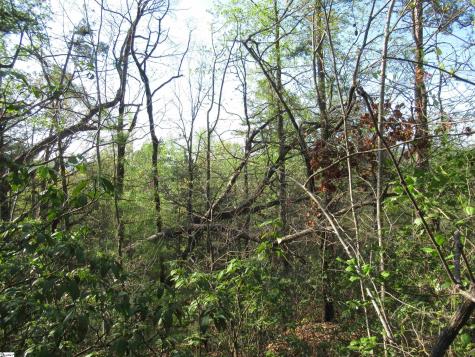 139 Whispering Falls Drive Pickens SC 29671