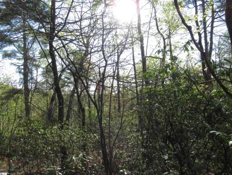 139 Whispering Falls Drive Pickens SC 29671