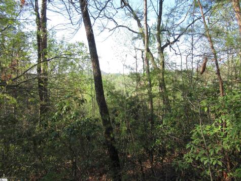 139 Whispering Falls Drive Pickens SC 29671