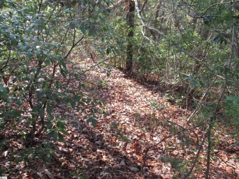 139 Whispering Falls Drive Pickens SC 29671