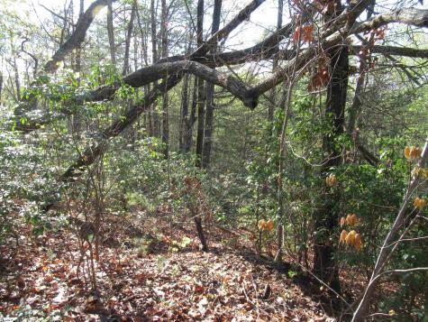 139 Whispering Falls Drive Pickens SC 29671