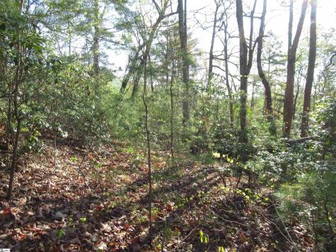 139 Whispering Falls Drive Pickens SC 29671