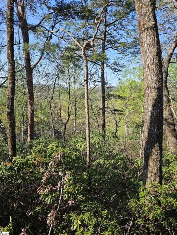 139 Whispering Falls Drive Pickens SC 29671