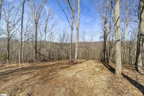 314 Mountain Lake Lane Travelers Rest SC 29690
