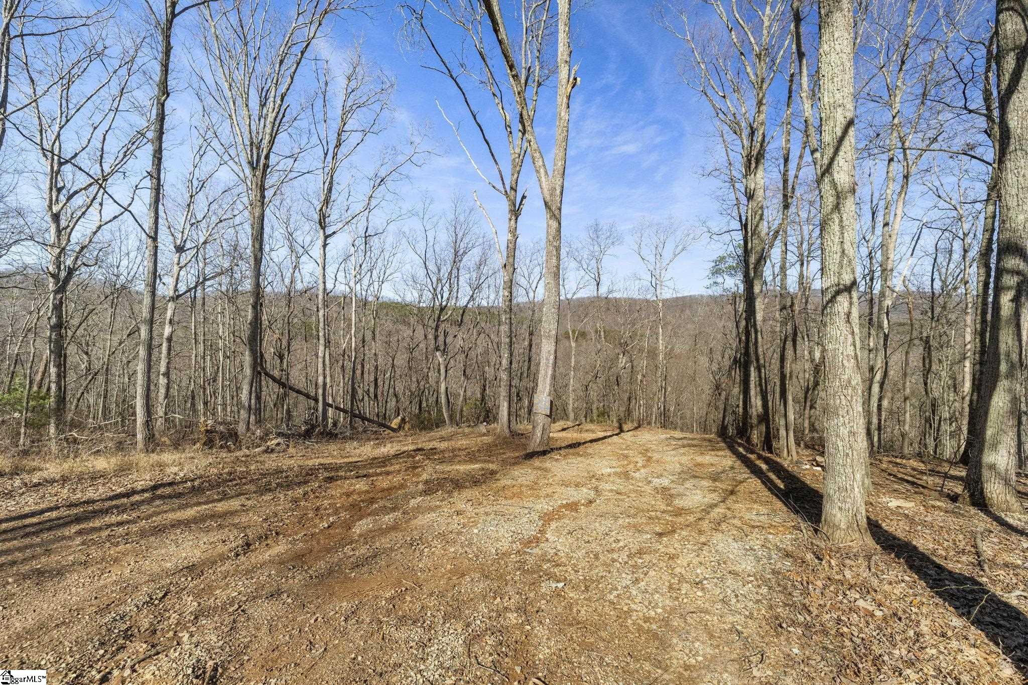 314 Mountain Lake Lane Travelers Rest SC 29690