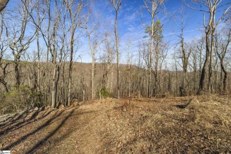 314 Mountain Lake Lane Travelers Rest SC 29690