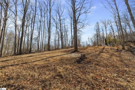 314 Mountain Lake Lane Travelers Rest SC 29690