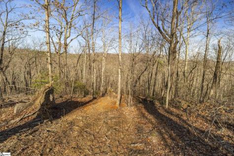 314 Mountain Lake Lane Travelers Rest SC 29690