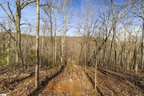 314 Mountain Lake Lane Travelers Rest SC 29690
