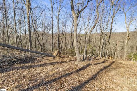 314 Mountain Lake Lane Travelers Rest SC 29690
