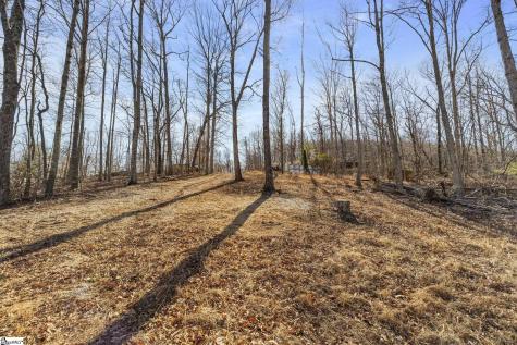 314 Mountain Lake Lane Travelers Rest SC 29690