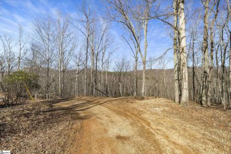 314 Mountain Lake Lane Travelers Rest SC 29690