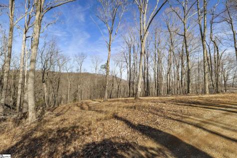 314 Mountain Lake Lane Travelers Rest SC 29690
