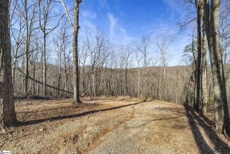 314 Mountain Lake Lane Travelers Rest SC 29690