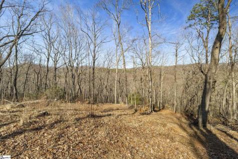314 Mountain Lake Lane Travelers Rest SC 29690